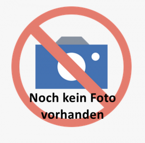 Arnold 2701 N Dampflok T2, ohne Antrieb/Elektrik, rollfähig, vergoldet, OVP